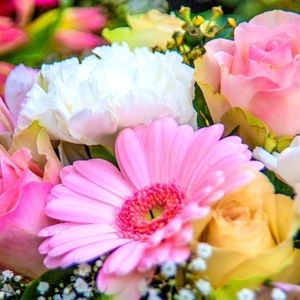 Meet your Posher, Sandra